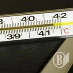Грип на Чернігівщині відступає Грип на Чернігівщині відступає