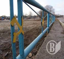 Жовто-блакитний совок Жовто-блакитний совок