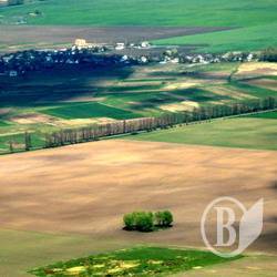 Дружина начальника поліції забулася про 4,5 гектари на Чернігівщині Дружина начальника поліції забулася про 4,5 гектари на Чернігівщині