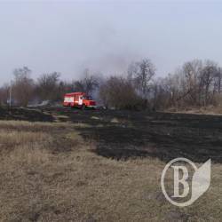 Гасити поля і луки довелося сім раз за добу