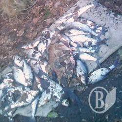 Попався селянин з рибою. Нарахували 5 тисяч Попався селянин з рибою. Нарахували 5 тисяч