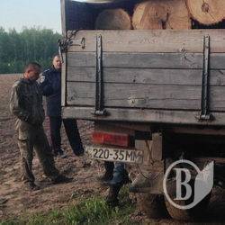 Браконьєрів-лісорубів спіймали громадські активісти. Фото Браконьєрів-лісорубів спіймали громадські активісти. Фото