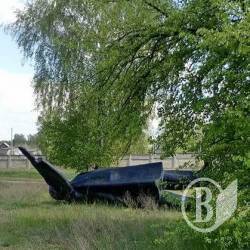 Ілліч на відпочинку. ФотоФакт Ілліч на відпочинку. ФотоФакт