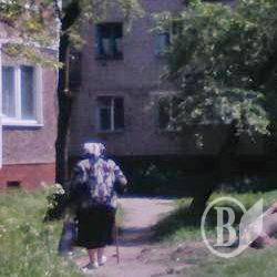 Дерево впало чи… ні? ФотоФакт Дерево впало чи… ні? ФотоФакт
