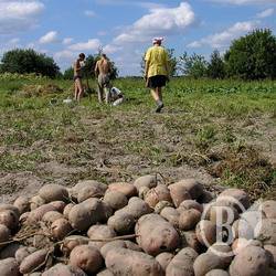 Лазар ставить найбільший в Україні крохмальний завод. Відео Лазар ставить найбільший в Україні крохмальний завод. Відео