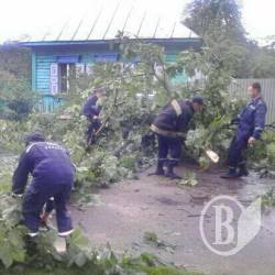 Десятки дерев та дроти не витримали вчорашнього дощу. Фото Десятки дерев та дроти не витримали вчорашнього дощу. Фото