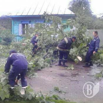 Десятки дерев та дроти не витримали вчорашнього дощу. Фото Десятки дерев та дроти не витримали вчорашнього дощу. Фото