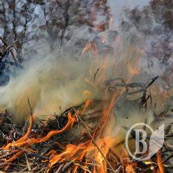 П’яним гулякам розповідають про небезпеку багаття П’яним гулякам розповідають про небезпеку багаття
