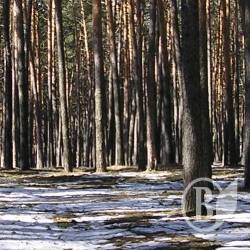 Яку територію матиме РЛП Ялівщина? Відео Яку територію матиме РЛП Ялівщина? Відео