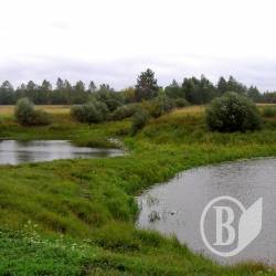 У ставку потонув 49-річний У ставку потонув 49-річний