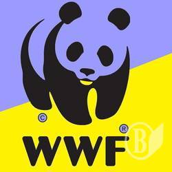 WWF    