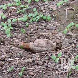 В Чернигове погиб от взрыва 24-летний В Чернигове погиб от взрыва 24-летний