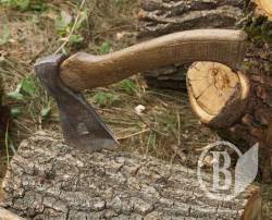 Чернігівщина лідирує за темпами незаконної вирубки лісів Чернігівщина лідирує за темпами незаконної вирубки лісів