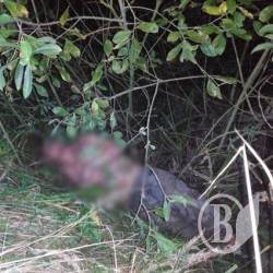 Забив свого сусіда насмерть. За шланг Забив свого сусіда насмерть. За шланг
