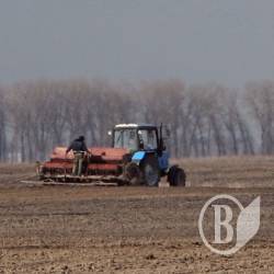 25 га віддали в оренду з порушеннями 25 га віддали в оренду з порушеннями