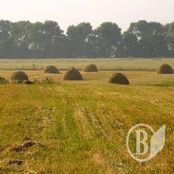 Мораторій на продаж землі найближчі роки збережеться Мораторій на продаж землі найближчі роки збережеться