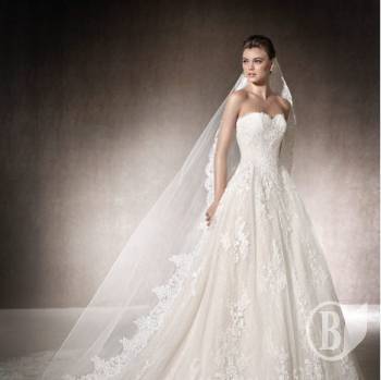 ��������� ������ � ��� ��������� ������������ �� ��� �����