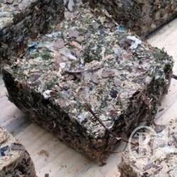 ������ ���� � ������! �������� �������� ����� ��������� �������