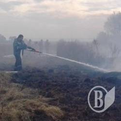 Пожарники гасят торфяник и просят не добавлять работы
