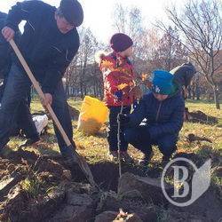 На месте отмененной застройки насадили аллею На месте отмененной застройки насадили аллею