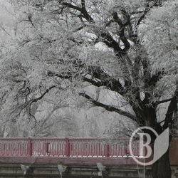 Марьина роща в морозное утро. Фоторелаксация Марьина роща в морозное утро. Фоторелаксация
