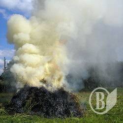 Киянину, який вбив і спалив бабусю, суд дав 12 років Киянину, який вбив і спалив бабусю, суд дав 12 років