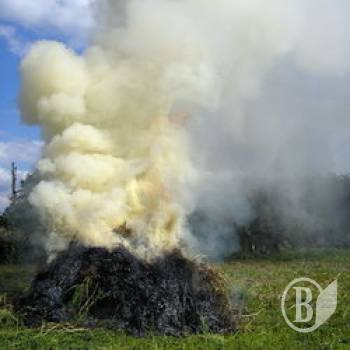 Киянину, який вбив і спалив бабусю, суд дав 12 років Киянину, який вбив і спалив бабусю, суд дав 12 років