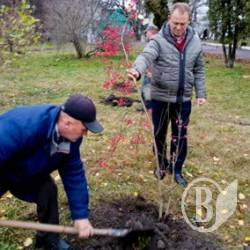 В Нежине стало больше деревьев после избрания города в состав «7 чудес Украины»