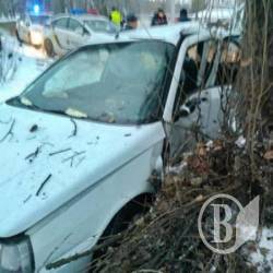 Дерево зупинило п’яного в Чернігові Дерево зупинило п’яного в Чернігові