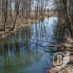 На річці Білоус вже минув пік весняного водопілля