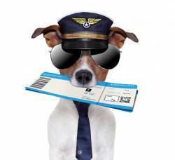 �� ������ � ������ ������ ������ �� ����?