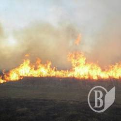 За три тижні весни жителі Чернігівщини вчинили сотню пожеж на відкритій місцевості За три тижні весни жителі Чернігівщини вчинили сотню пожеж на відкритій місцевості