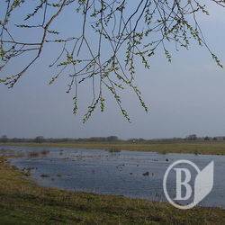 На Снові - пік весняної повені На Снові - пік весняної повені