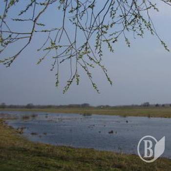 На Снові - пік весняної повені На Снові - пік весняної повені