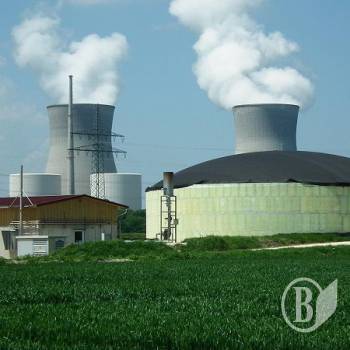 Електрика буде з жому буряка і свинячого лайна Електрика буде з жому буряка і свинячого лайна