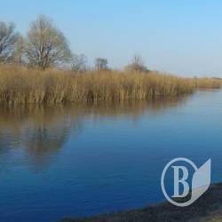 На Десні біля Новгород-Сіверського минув пік весняної повені На Десні біля Новгород-Сіверського минув пік весняної повені