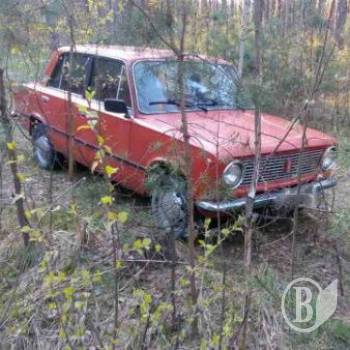 Поцуплене «авто» знайшлося в лісі Поцуплене «авто» знайшлося в лісі