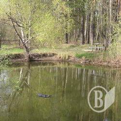 У своєму ставку потонув 56-літній У своєму ставку потонув 56-літній