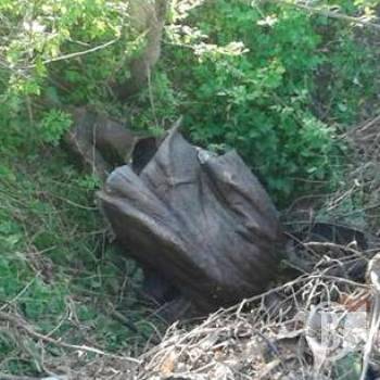 Пам'ятник Бернесу знайшовся в рівчаку Пам'ятник Бернесу знайшовся в рівчаку