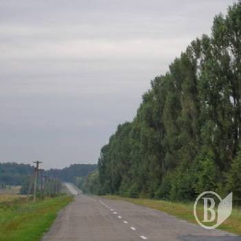 Мотоцикліст загинув у кюветі Мотоцикліст загинув у кюветі