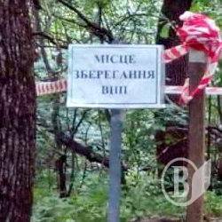 Урочище очистили від боєприпасів Урочище очистили від боєприпасів