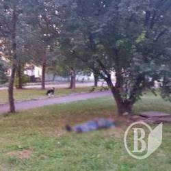 Вбивця перехожого затриманий Вбивця перехожого затриманий