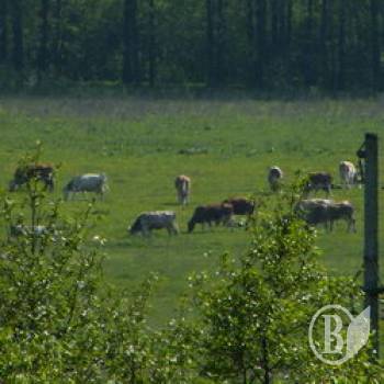 ������ ����? ���� �� � ��������!