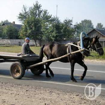 ������� ���������