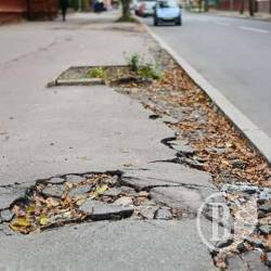Чернігівці вже «дякують» за зимовий сад по-японськи. І переймаються долею Валу Чернігівці вже «дякують» за зимовий сад по-японськи. І переймаються долею Валу
