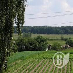 Сільрада виділила 43 сотки родичу свого ж депутата Сільрада виділила 43 сотки родичу свого ж депутата