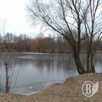 Юнак відбувся крижаним купанням за прогулянку тонкою кригою Юнак відбувся крижаним купанням за прогулянку тонкою кригою