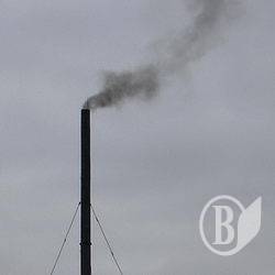 Викинуті ялинки будуть використані комунальниками Викинуті ялинки будуть використані комунальниками