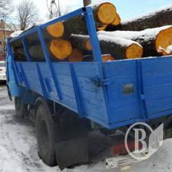 Колоди тяжко травмували робітника Колоди тяжко травмували робітника