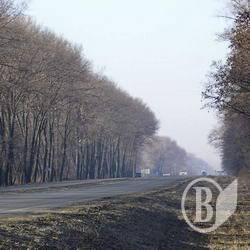 Автошлях «Київ – Нові Яриловичі» – в числі найбільш небезпечних